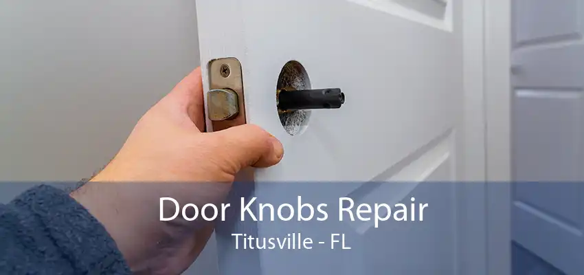 Door Knobs Repair Titusville - FL