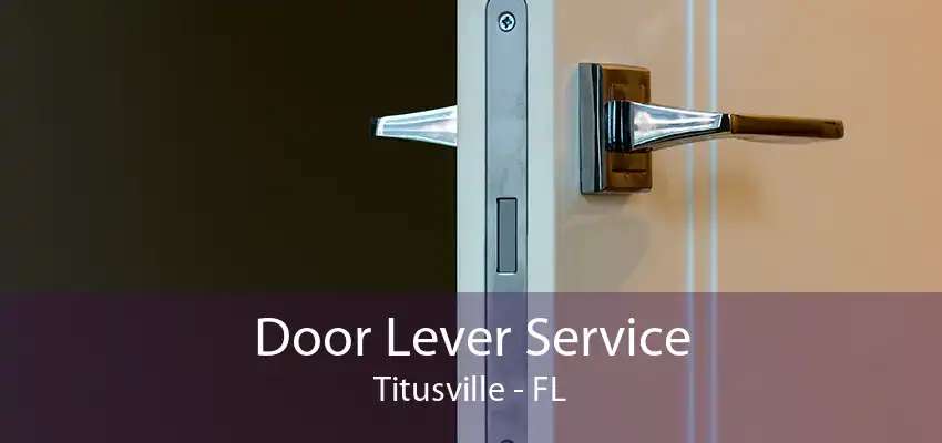 Door Lever Service Titusville - FL